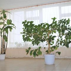 Гостиница Кварт, Казань, Татарстан