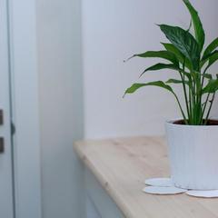 Хостел Алмаз, Казань, Татарстан