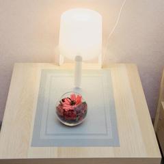 Мини-отель ZOO, Казань, Татарстан