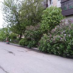 Мини-отель Заря, Казань, Татарстан