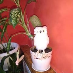 Мини-отель Заря, Казань, Татарстан