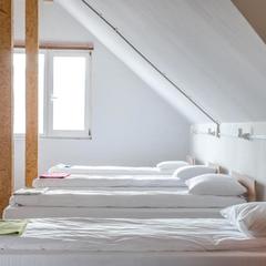 Хостел In Like, Калининград, Калининградская область