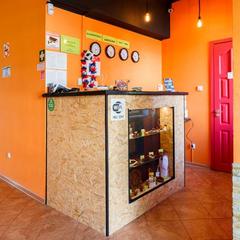 Хостел United Colors, Калининград, Калининградская область