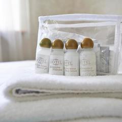 Гостевой дом MAXIM