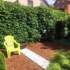 Отель Смайл, Калининград, Калининградская область