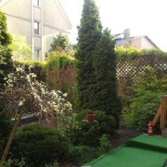 Отель Смайл, Калининград, Калининградская область