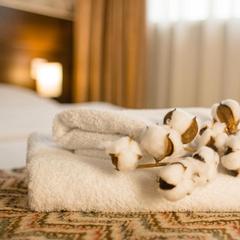 Гостевой дом Калина, Калининград, Калининградская область