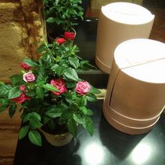 Апартаменты Старый Дворик, Калининград, Калининградская область