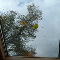 Апартаменты Старый Дворик, Калининград, Калининградская область