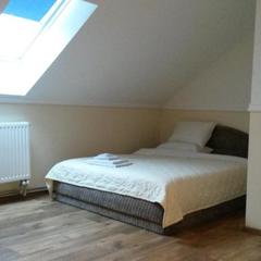 Отель Трактир Зеркальный Карп, Калининград, Калининградская область