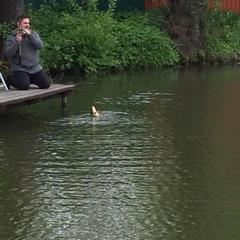 Отель Трактир Зеркальный Карп, Калининград, Калининградская область