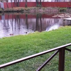 Отель Трактир Зеркальный Карп, Калининград, Калининградская область