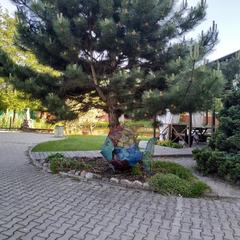 Отель Трактир Зеркальный Карп, Калининград, Калининградская область