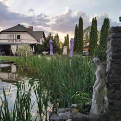 Отель Трактир Зеркальный Карп, Калининград, Калининградская область