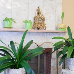 Гостевой дом Папа Хаус, Калининград, Калининградская область