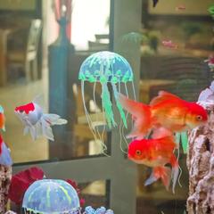 Хостел 39 регион, Калининград, Калининградская область