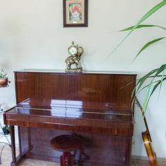 Гостевой дом Папа Хаус, Калининград, Калининградская область