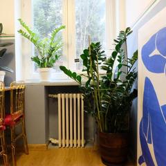 Мини-отель Quokka, Калининград, Калининградская область