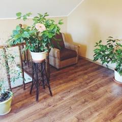 Гостевой дом Папа Хаус, Калининград, Калининградская область