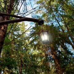 Гостиница Атис, Калуга, Калужская область