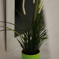 Гостиница Глобус, Калуга, Калужская область