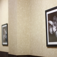 Гостиница Глобус, Калуга, Калужская область