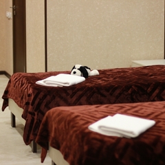 Гостиница Глобус, Калуга, Калужская область