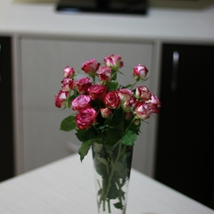 Гостиница Глобус, Калуга, Калужская область