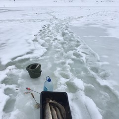 База отдыха Дом Рыбака, Калуга, Калужская область
