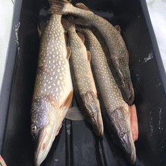 База отдыха Дом Рыбака, Калуга, Калужская область