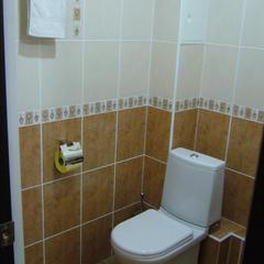 Гостевой дом Аэлита, Калуга, Калужская область