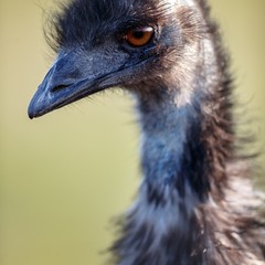 Парк-отель Кудыкина Гора, Каменка (Липецкая область), Липецкая область