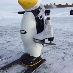 Парк-отель Кудыкина Гора, Каменка (Липецкая область), Липецкая область