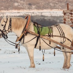 Парк-отель Кудыкина Гора, Каменка (Липецкая область), Липецкая область