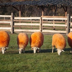 Парк-отель Кудыкина Гора, Каменка (Липецкая область), Липецкая область