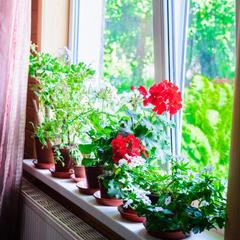 Гостевой дом Жили-Были, Майкопский район, Республика Адыгея