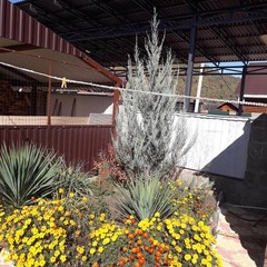 База отдыха Солнечная, Майкопский район, Республика Адыгея