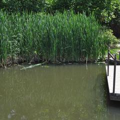 Гостевой дом Эдельвейс, Краснодарский край