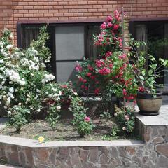 Гостевой дом Эдельвейс, Краснодарский край