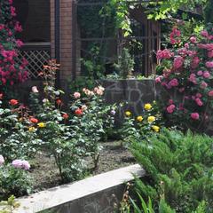 Гостевой дом Эдельвейс, Краснодарский край