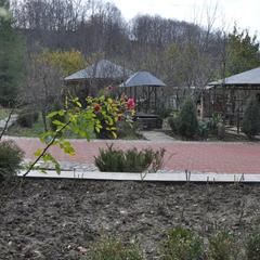 Гостевой дом Эдельвейс, Краснодарский край