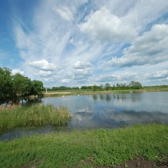 Туристическая база отдыха Золотой Сазан, Карайчевка, Воронежская область