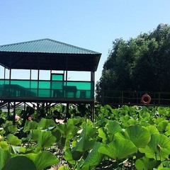 База отдыха Раскаты Каспия, Каралат, Астраханская область