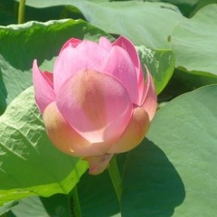 База отдыха Раскаты Каспия, Каралат, Астраханская область