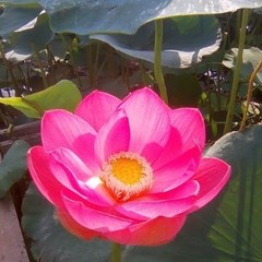 База отдыха Раскаты Каспия, Каралат, Астраханская область