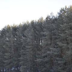 Гостевой дом Иволга, Касимов, Рязанская область