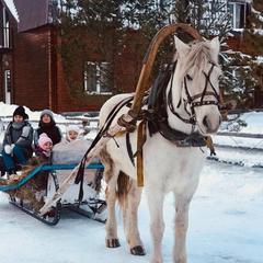 Туристический комплекс Столица мира, Тальменский район, Алтайский край