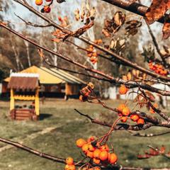 Туристический комплекс Столица мира, Тальменский район, Алтайский край