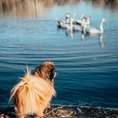 Туристический комплекс Столица мира, Тальменский район, Алтайский край