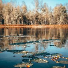 Туристический комплекс Столица мира, Тальменский район, Алтайский край